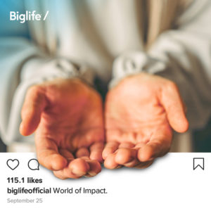 Biglife 3D Post - Social Ally Media